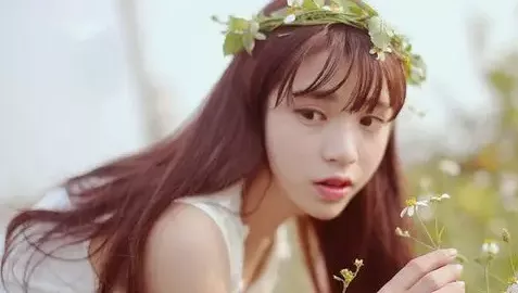 两野猫把景观池当自助餐厅