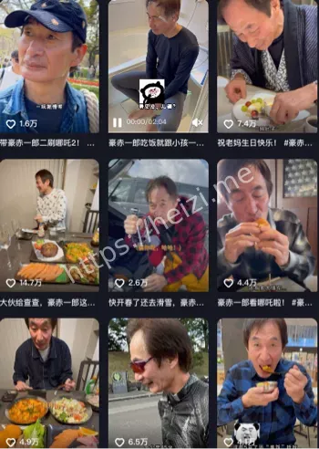 东北老妈在日本